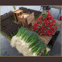 Why They Buy: Understanding Customer Behavior at Farmers’ Markets| Geography of the Congressional Agriculture Committees