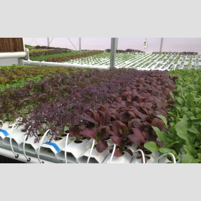 Farm Credit Easts Podcast