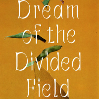 Dream of the Divided Field by Yanyi