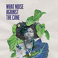 What Noise Against the Cane by Desiree C Bailey