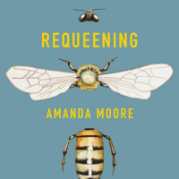 Requeening by Amanda Moore