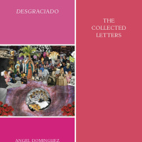 Desgraciado (the collected letters)by Angel Dominguez