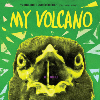 My Volcano by John Elizabeth Stintzi