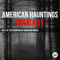 The Haunting Of Harrison Woods