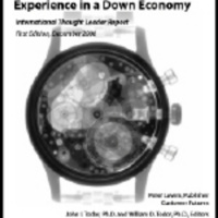 Customer Experience Improvement on a Tight Budget