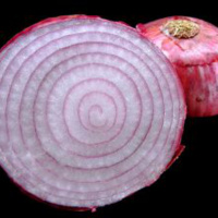 Internal Customer Satisfaction: Help Me Help You