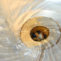 Customer Retention Begins With Trust