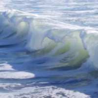 Customer Experience is Well-Defined by Metaphors