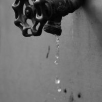 Customer Experience Data: Untapped Gold Mines