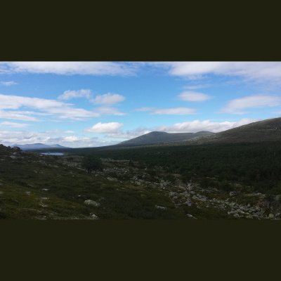 Lite Passé - En Podd Om Historia