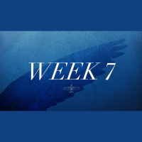 Taking Flight - Week Seven