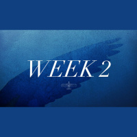 Taking Flight - Week Two