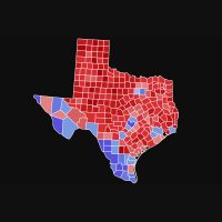 The New Voters of Texas
