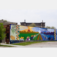 Checking Out the Michigan Primary From Detroits Southwest Neighborhood