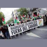 174: Sahara Libre: The Fight for Independence in Western Sahara