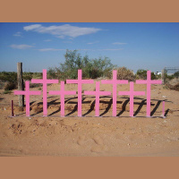 114: Femicide in Mexico