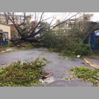 111: SPECIAL EPISODE: Puerto Rico Is Destroyed