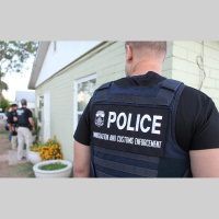 Artificial Intelligence and Immigrant Communities