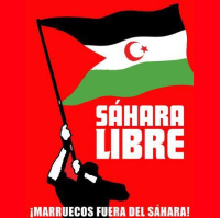 44: The Fight for Independence in Western Sahara