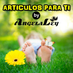 Articulos Para Ti