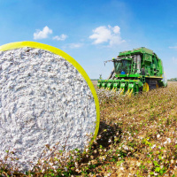Cotton Program Updates  Changes