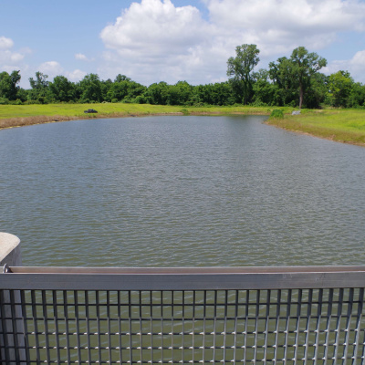 Arkansas Farm Bureau Podcast