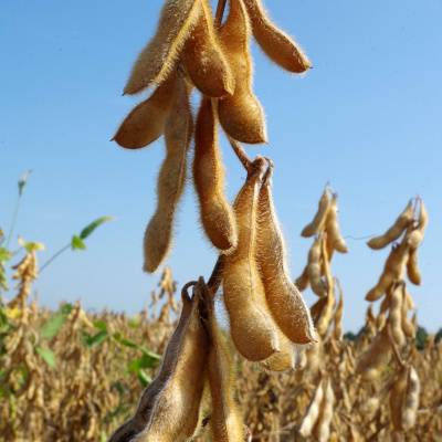 Arkansas Farm Bureau Podcast
