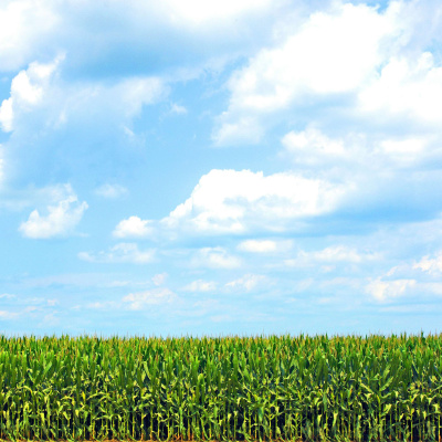 Arkansas Farm Bureau Podcast