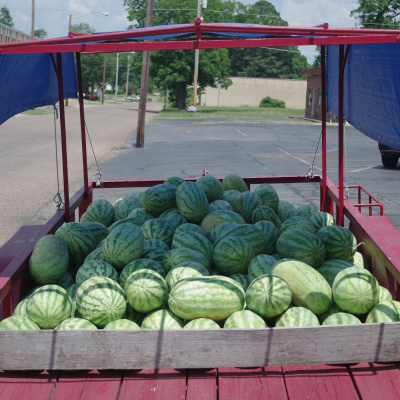 Arkansas Farm Bureau Podcast