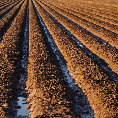 Arkansas Farm Bureau Podcast