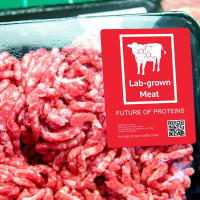 Futureproof Extra: The Science of Cultured Meat