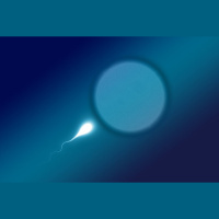 NeoMimix: The New Sperm Selection Technology