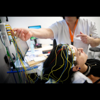 A New Understanding Of Epilepsy