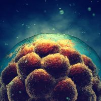 Futureproof Extra: Creating the First Synthetic Human Embryo