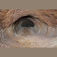 Futureproof Extra: Paleoburrows