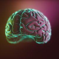 Futureproof Extra: Just how big can our brains get?