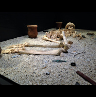 Unraveling the Mysteries of our Ancient Dead