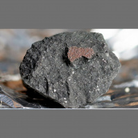 Futureproof Extra: The Winchcombe Lockdown Meteorite