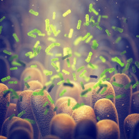 The relationship between your gut and your relationships