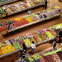 The Potential of Functional Foods