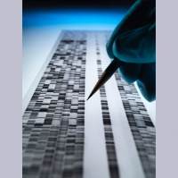 Sequencing the Complete Human Genome
