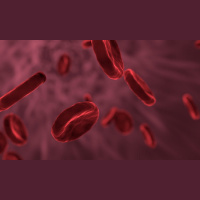 Can We Make Synthetic Blood?