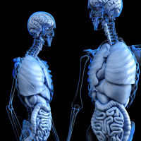 Futureproof Extra: How your organs can be a different age to the rest of your body