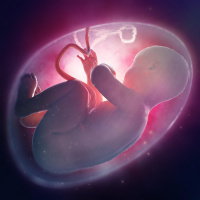Womb transplants and the future of reproductive medicine