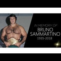 TV Party Tonight: Remembering Bruno Sammartino