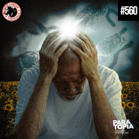 Herdeiros do Invisível: A Mediunidade tem Base Genética? | MFC 560