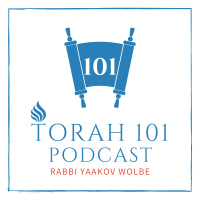 #98: Components of Oral Torah