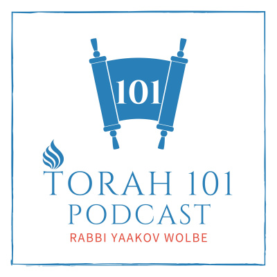 Torah 101 - By Rabbi Yaakov Wolbe