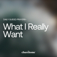 What I Really Want