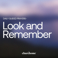 Look and Remember